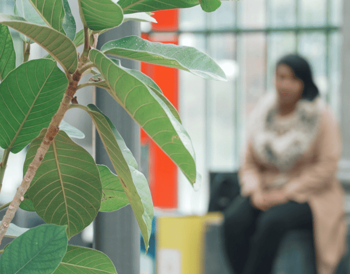 Interview avec une femmes sans papier
